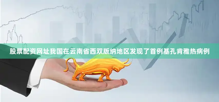 股票配资网址我国在云南省西双版纳地区发现了首例基孔肯雅热病例